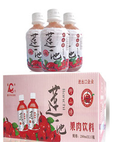 莲池山楂汁（塑料瓶）280mlx15